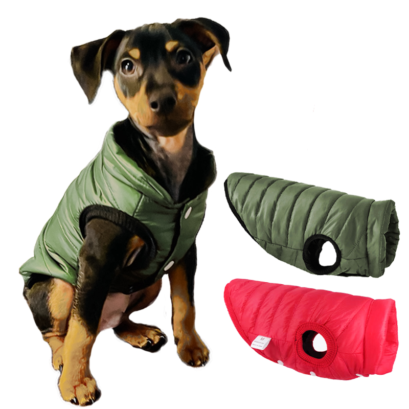 Winter Clothing In French - Chaleco cálido para perros, chaqueta para