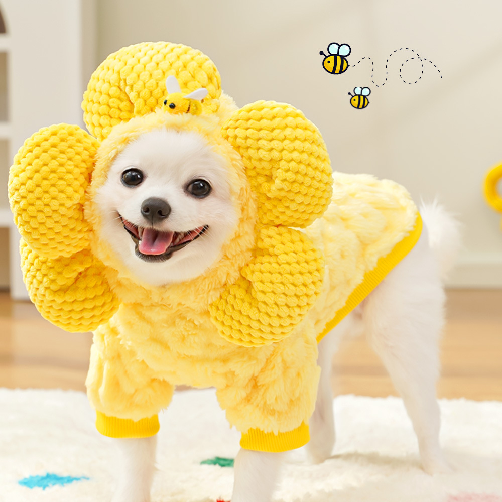 Winter Clothing In French - Ropa de invierno para mascotas, nuevo