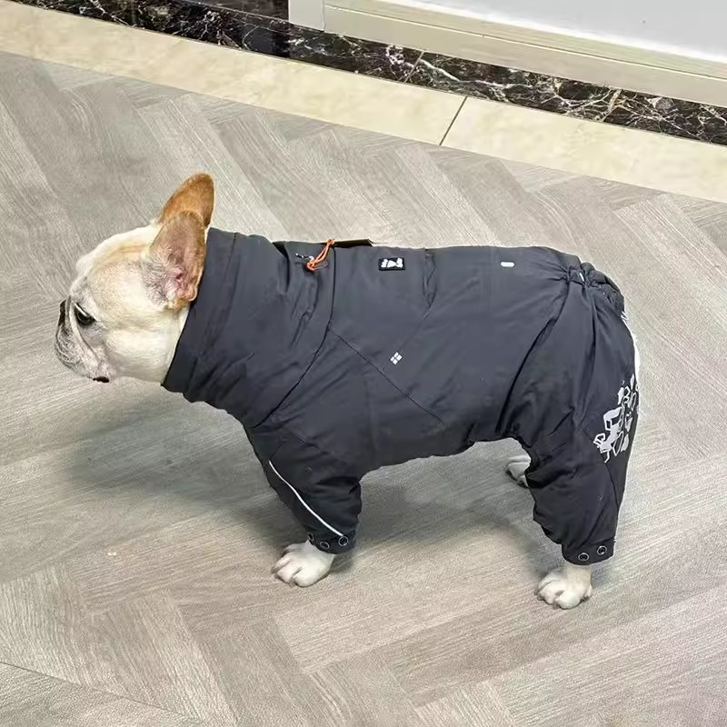 Winter Clothing In French - Ropa de Bulldog Francés, mono de