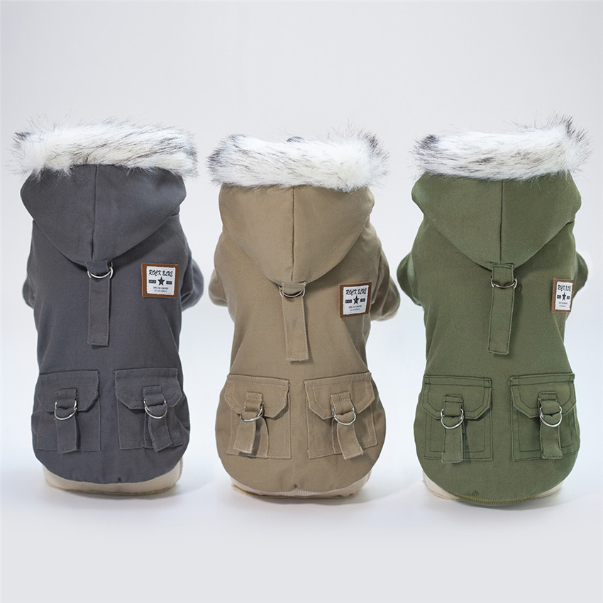 Winter Clothing In French - Ropa de invierno para perros pequeños,