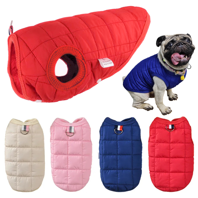 Winter Clothing In French - Chaqueta de algodón para mascotas, ropa