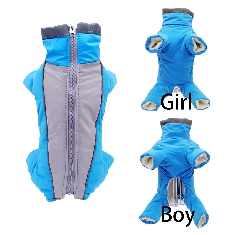 Winter Clothing In French - Ropa de invierno para perros, chaqueta