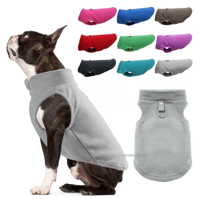 Winter Clothing In French - Ropa cálida de invierno para perros,
