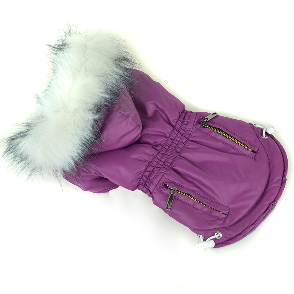 Ropa de invierno para perro, a - Winter Clothing In French reseña y precio