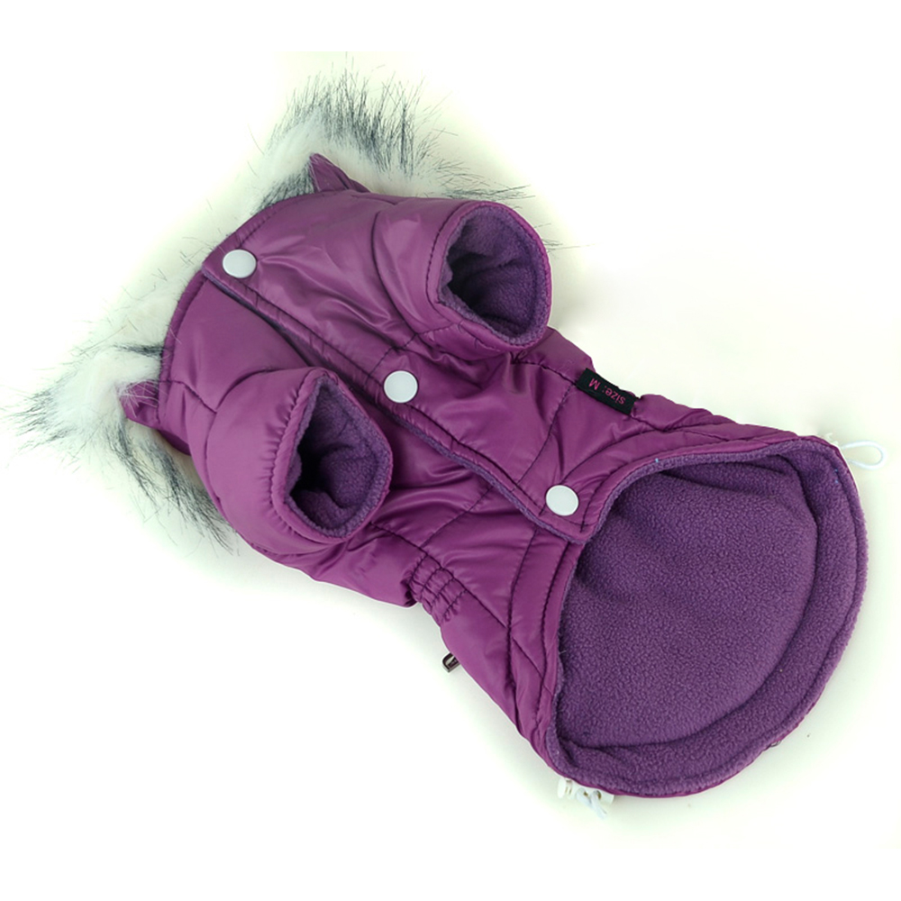 Ropa de invierno para perro, a - Winter Clothing In French reseña y precio
