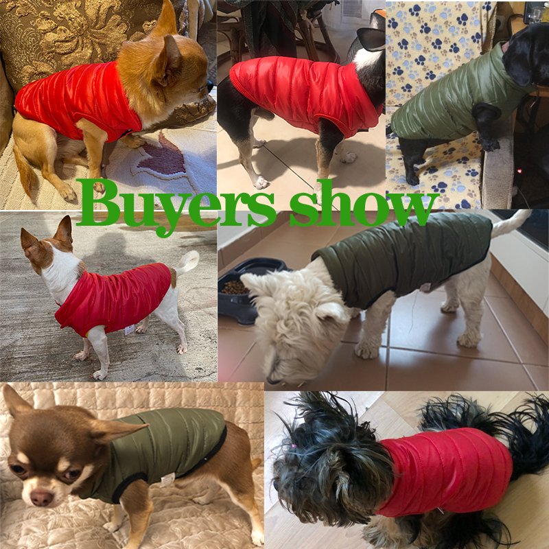 Chaleco cálido para perros, ch - Winter Clothing In French reseña y precio