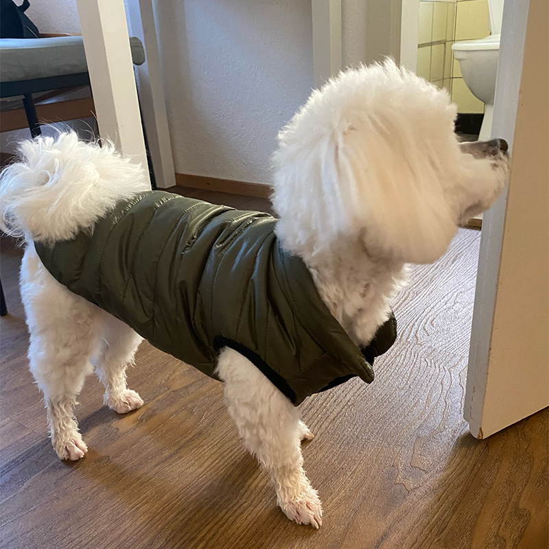 Chaleco cálido para perros, ch - Winter Clothing In French reseña y precio