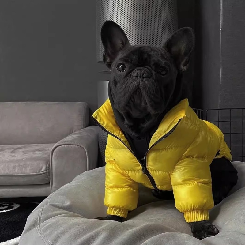 Abrigo para perro Pug, chaquet - Winter Clothing In French reseña y precio