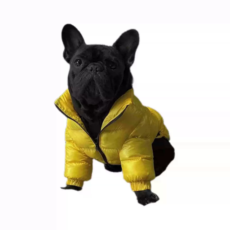 Abrigo para perro Pug, chaquet - Winter Clothing In French reseña y precio