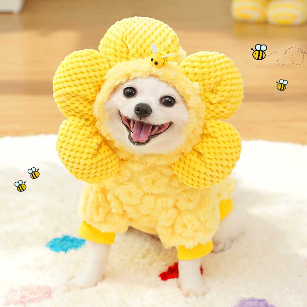 Ropa de invierno para mascotas - Winter Clothing In French reseña y precio