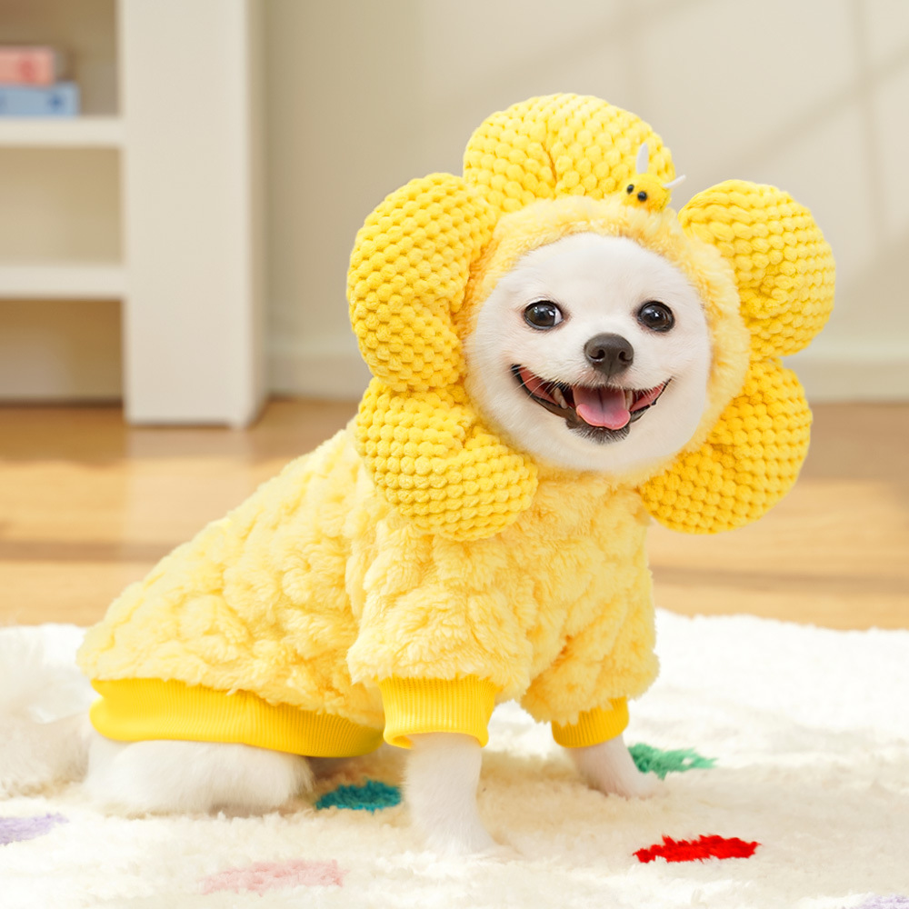 Ropa de invierno para mascotas - Winter Clothing In French reseña y precio