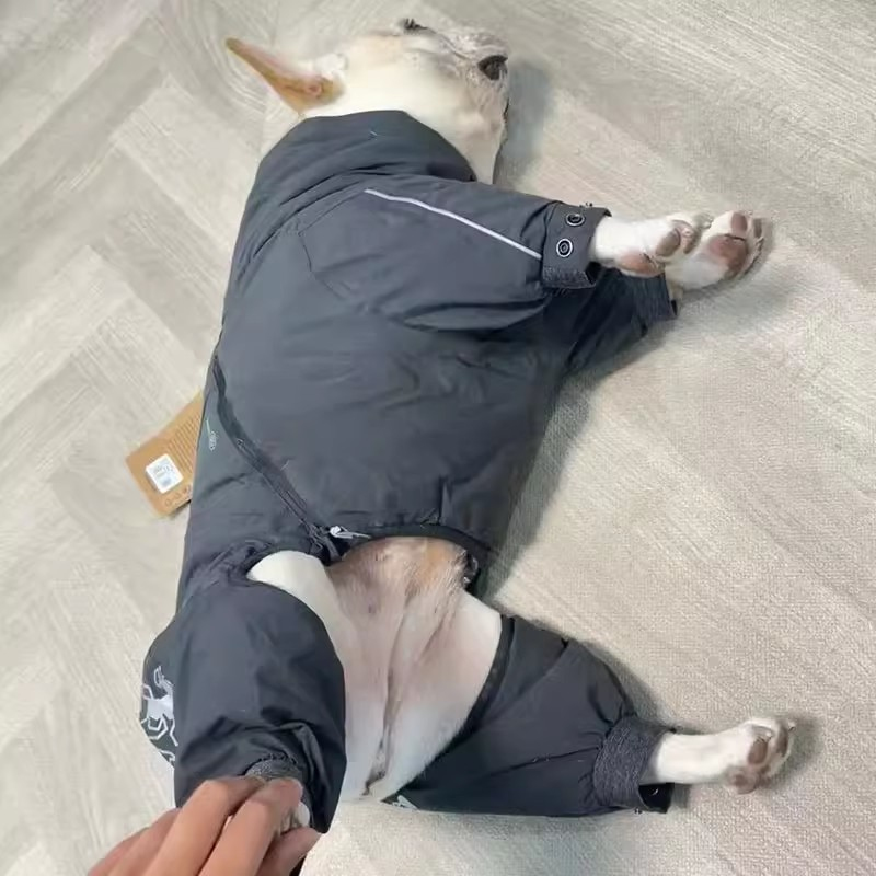 Ropa de Bulldog Francés, mono  - Winter Clothing In French reseña y precio