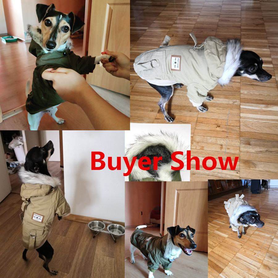 Ropa de invierno para perros p - Winter Clothing In French reseña y precio