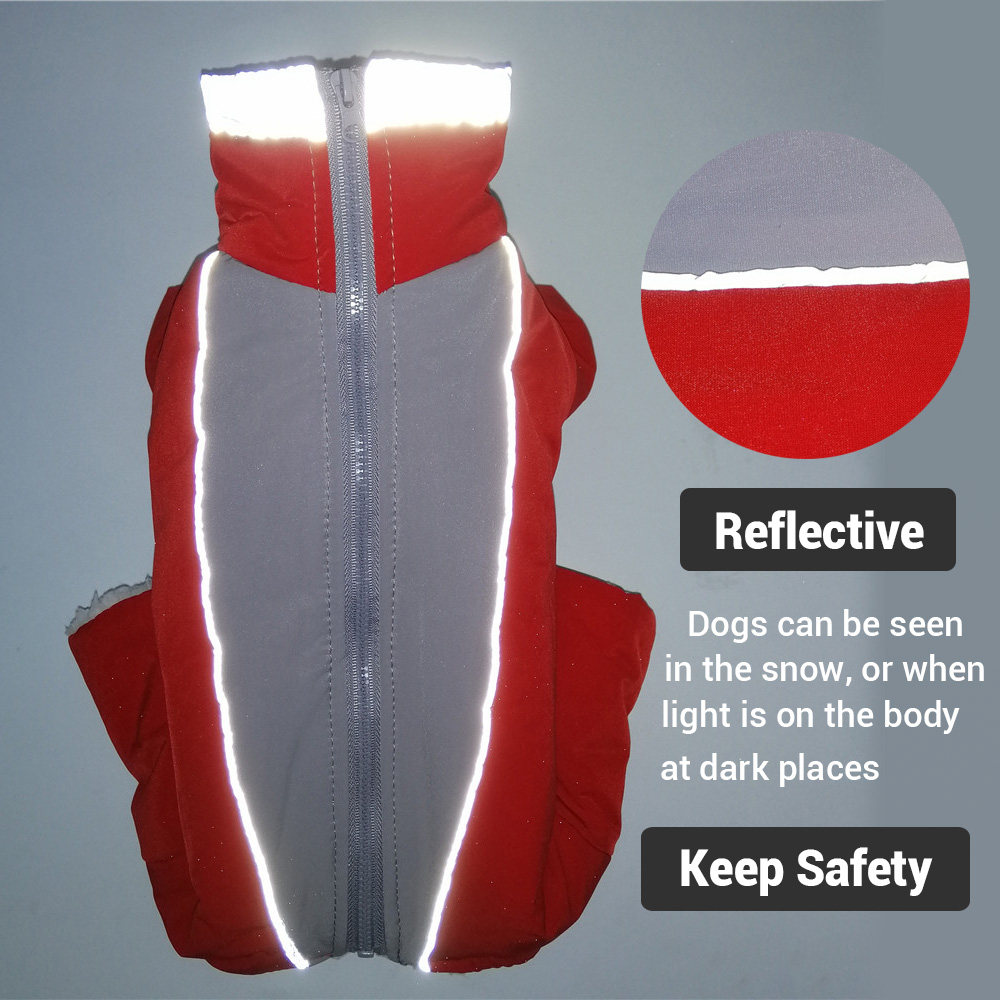 Ropa de invierno para perros,  - Winter Clothing In French reseña y precio