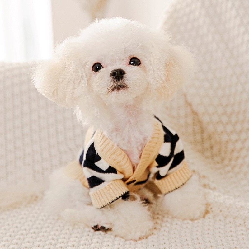 Ropa de Lujo para Perros, Suét - Winter Clothing In French reseña y precio